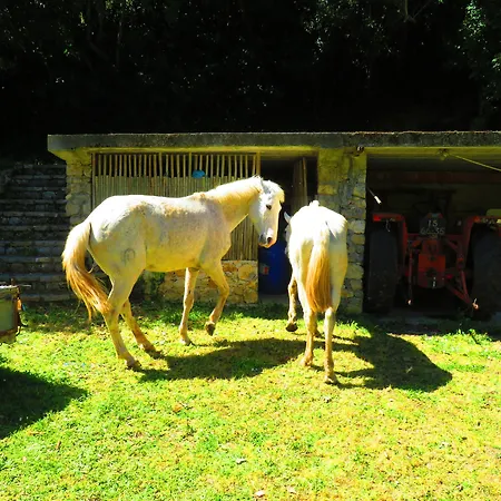 Quinta De Rio Alcaide 3* Porto de Mós