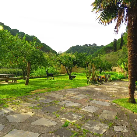 Hotel Quinta De Rio Alcaide Porto de Mós