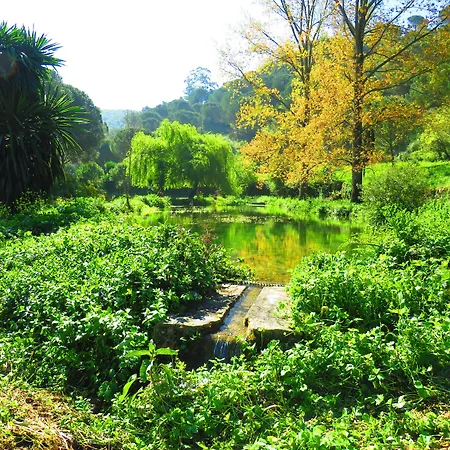 Quinta De Rio Alcaide 3*